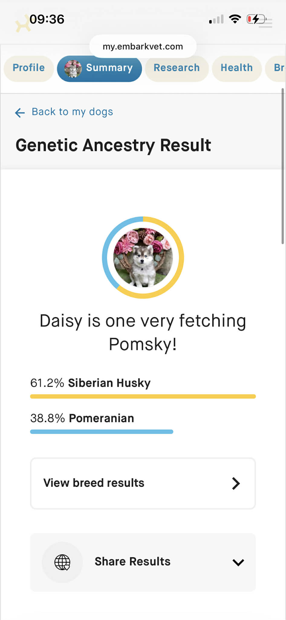 Exemple de résultat Embark