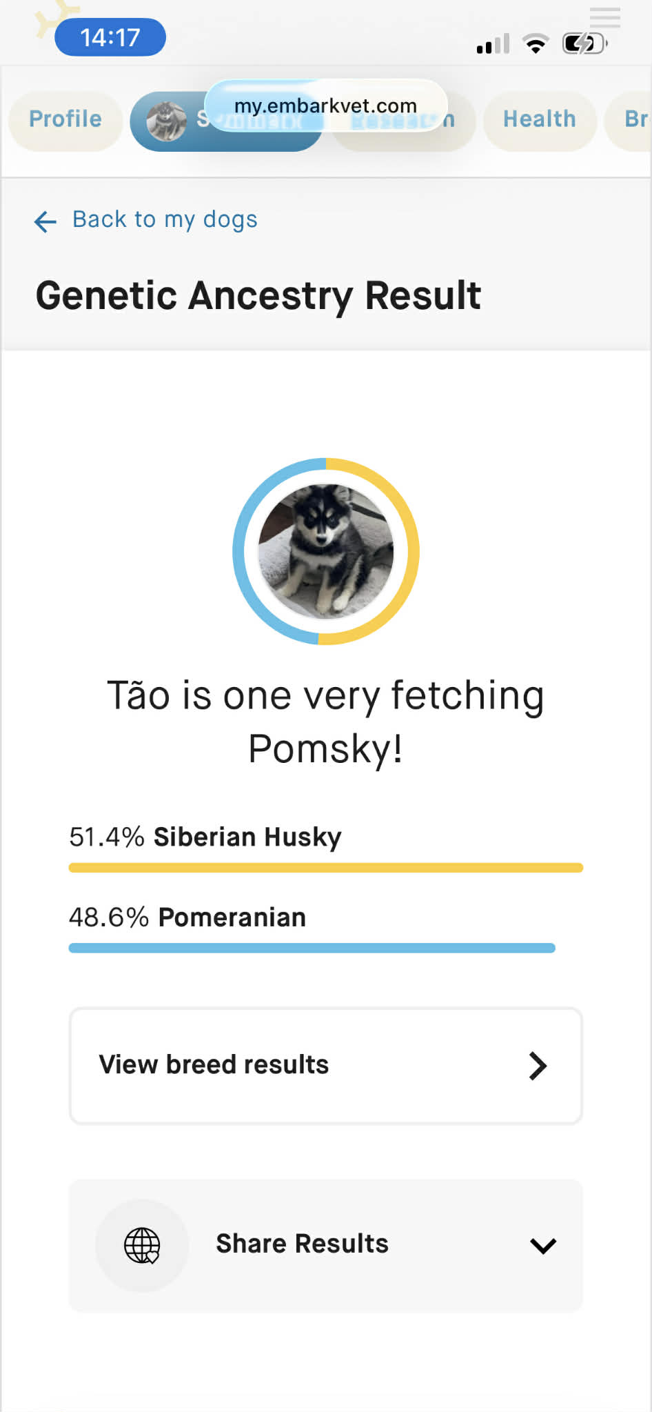 Exemple de résultat Embark