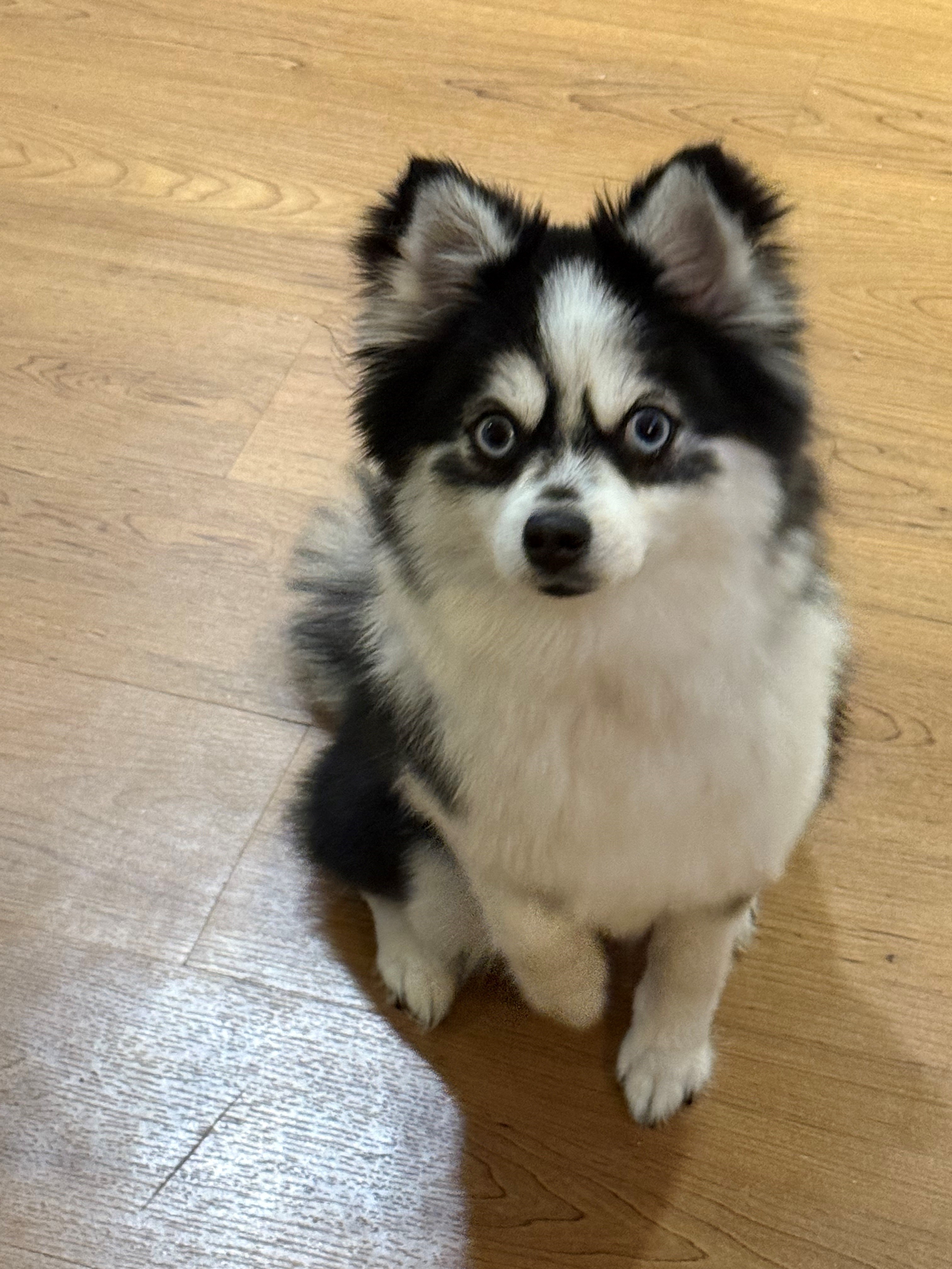 Mère: Nala